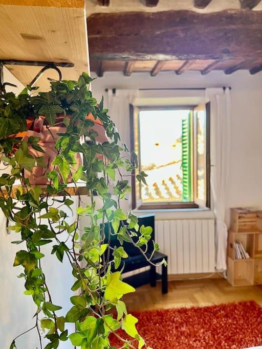 Ferienwohnung Siena - A Pochi Passi Da Piazza Del Campo Exterior foto